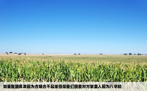 如果我跟男友因为合婚合不起来但是我们很爱对方家里人因为八字和