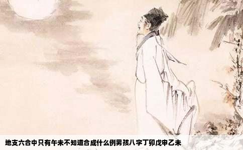 地支六合中只有午未不知道合成什么例男孩八字丁卯戊申乙未