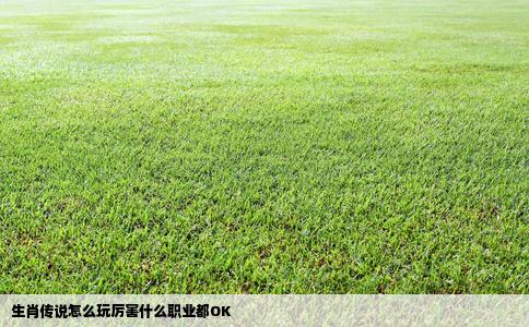 生肖传说怎么玩厉害什么职业都OK