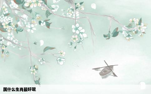 属什么生肖最好呢