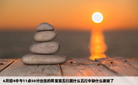 6月初4中午11点50分出生的男宝宝五行属什么五行中缺什么谢谢了