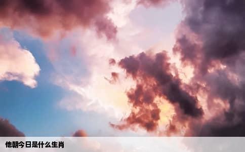 他朝今日是什么生肖