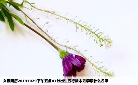 女孩阴历20131029下午五点47分出生五行缺木姓李取什么名字