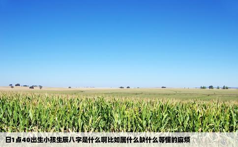 日1点40出生小孩生辰八字是什么啊比如属什么缺什么等懂的麻烦