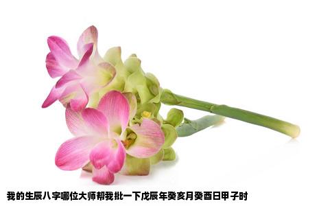 我的生辰八字哪位大师帮我批一下戊辰年癸亥月癸酉日甲子时