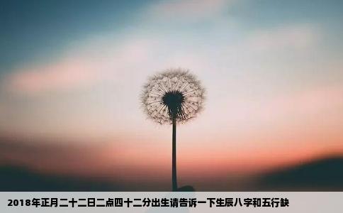 2018年正月二十二日二点四十二分出生请告诉一下生辰八字和五行缺