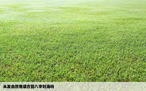 头发自然卷适合剪八字刘海吗