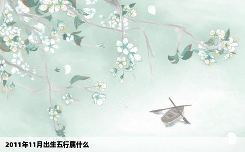 2011年11月出生五行属什么