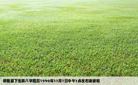 帮我算下生辰八字阳历1990年11月1日中午1点左右谢谢啦