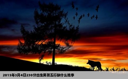 2015年3月4日230分出生男孩五行缺什么姓李