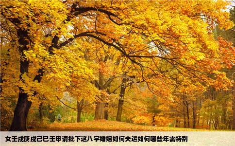 女壬戌庚戌己巳壬申请批下这八字婚姻如何夫运如何哪些年需特别
