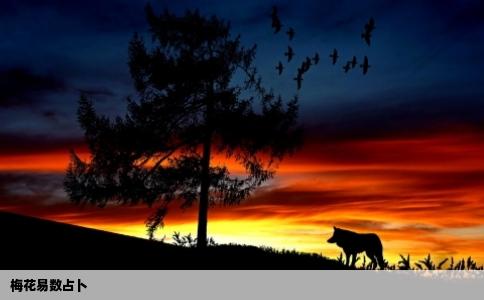 梅花易数占卜