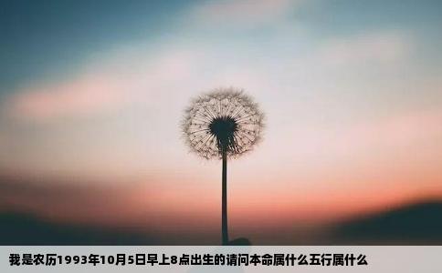 我是农历1993年10月5日早上8点出生的请问本命属什么五行属什么