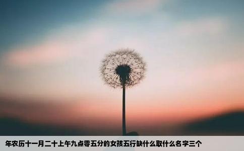 年农历十一月二十上午九点零五分的女孩五行缺什么取什么名字三个