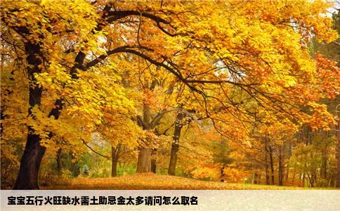 宝宝五行火旺缺水需土助忌金太多请问怎么取名