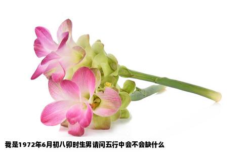 我是1972年6月初八卯时生男请问五行中会不会缺什么
