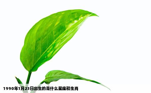 1990年1月23日出生的是什么星座和生肖