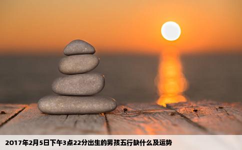 2O17年2月5日下午3点22分出生的男孩五行缺什么及运势