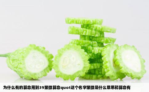 为什么有的算命用到39紫微算命quot这个名字紫微是什么意思和算命有