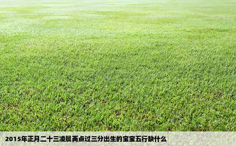 2015年正月二十三凌晨两点过三分出生的宝宝五行缺什么