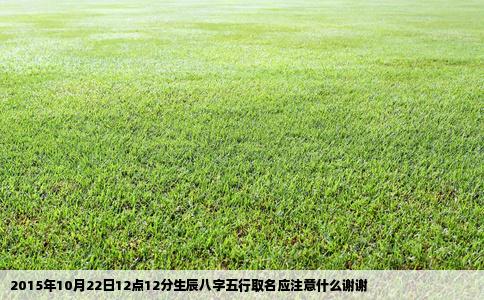 2015年10月22日12点12分生辰八字五行取名应注意什么谢谢