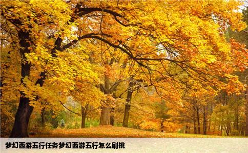 梦幻西游五行任务梦幻西游五行怎么刷挑
