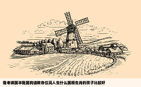 我老婆属羊我属狗请教各位高人生什么属相生肖的孩子比较好