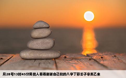 月28号13时45分男找人看看谢谢自己批的八字丁卯壬子辛亥乙未