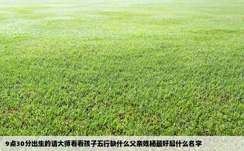 9点30分出生的请大师看看孩子五行缺什么父亲姓杨最好起什么名字