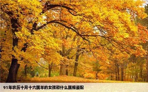 91年农历十月十六属羊的女孩和什么属相最配