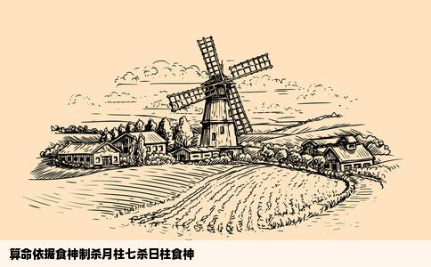 算命依据食神制杀月柱七杀日柱食神