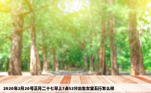 2020年2月20号正月二十七早上7点52分出生女宝五行怎么样