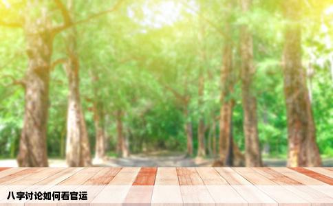 八字讨论如何看官运