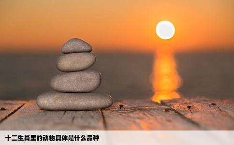 十二生肖里的动物具体是什么品种