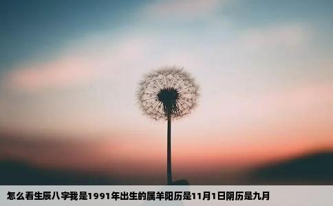 怎么看生辰八字我是1991年出生的属羊阳历是11月1日阴历是九月