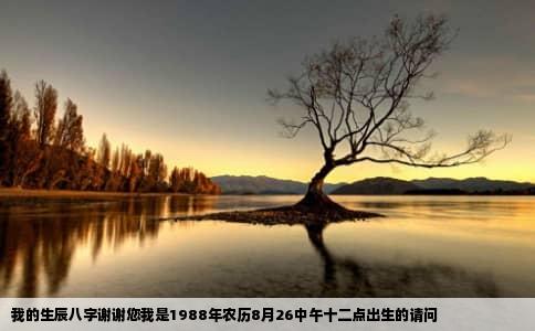 我的生辰八字谢谢您我是1988年农历8月26中午十二点出生的请问