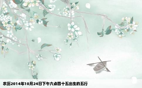 农历2014年10月24日下午六点四十五出生的五行