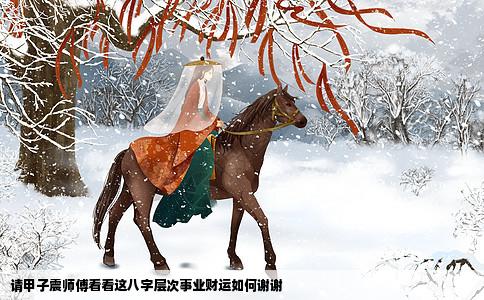 请甲子震师傅看看这八字层次事业财运如何谢谢