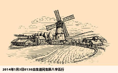 2014年1月3日0130出生请问生辰八字五行