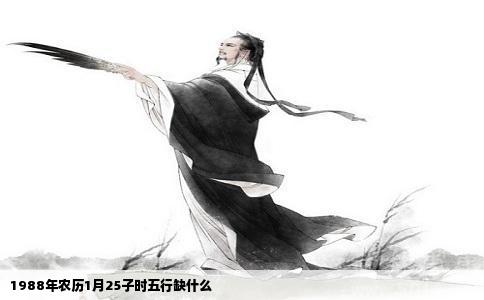 1988年农历1月25子时五行缺什么