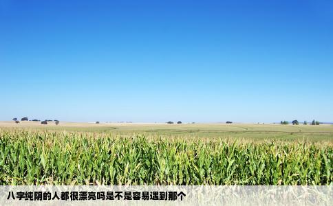八字纯阴的人都很漂亮吗是不是容易遇到那个