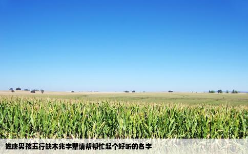 姓唐男孩五行缺木兆字辈请帮帮忙起个好听的名字