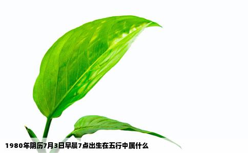 1980年阴历7月3日早晨7点出生在五行中属什么