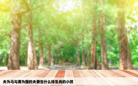 夫为马与妻为猴的夫妻生什么样生肖的小孩