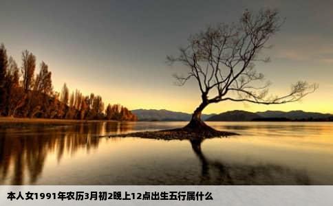 本人女1991年农历3月初2晚上12点出生五行属什么