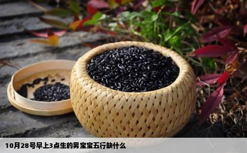 10月28号早上3点生的男宝宝五行缺什么