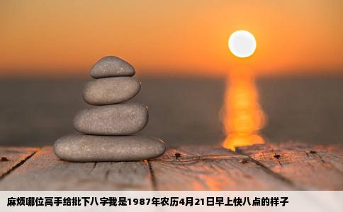 麻烦哪位高手给批下八字我是1987年农历4月21日早上快八点的样子