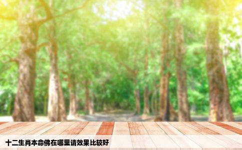 十二生肖本命佛在哪里请效果比较好