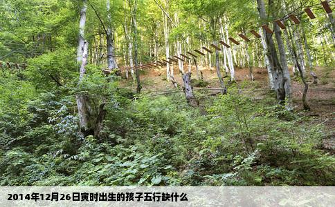 2014年12月26日寅时出生的孩子五行缺什么