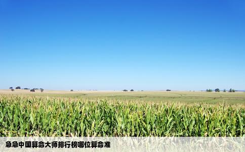 急急中国算命大师排行榜哪位算命准